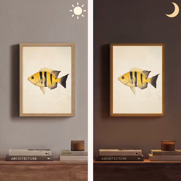 Lightbox - Wandlamp - Geel - Vis - Strepen - Tropisch — 5