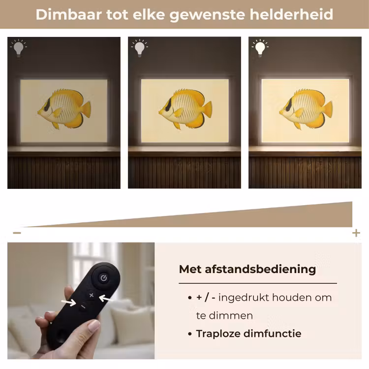 Lightbox - Wandlamp - Ovaal - Vis - Geel - Schubben — 9