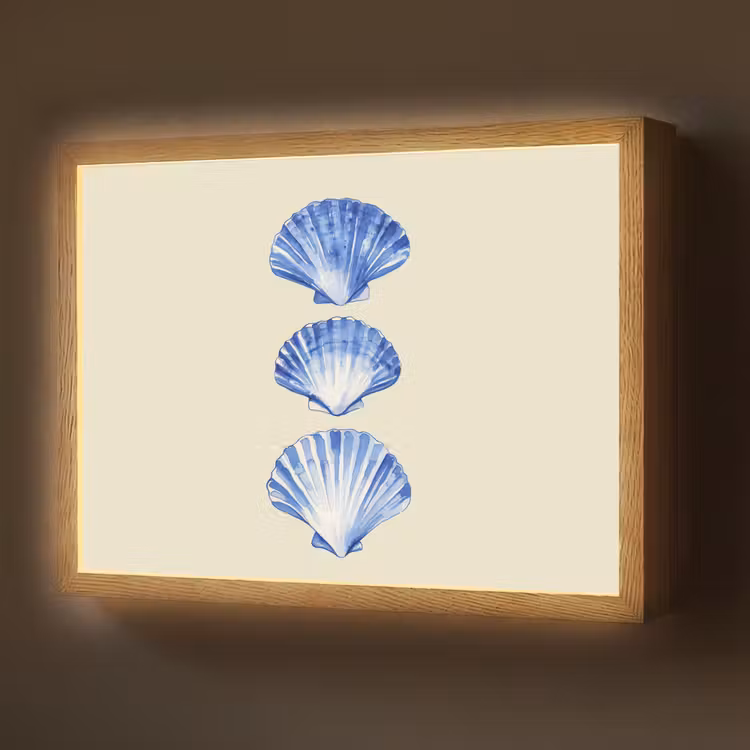 Lightbox - Wandlamp - Schelpen - Blauw - Beige — 1