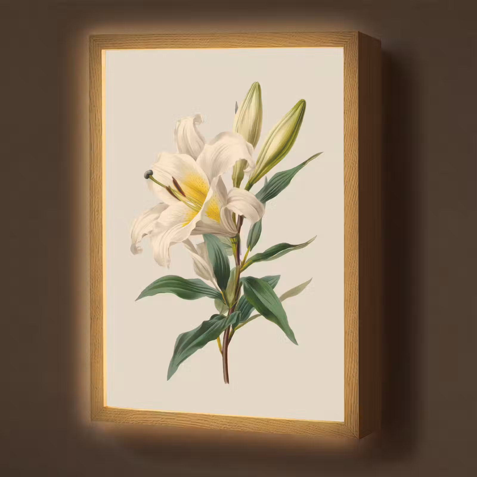 Lightbox - Wandlamp - Lelie - Elegant - Botanisch - Beige — 1
