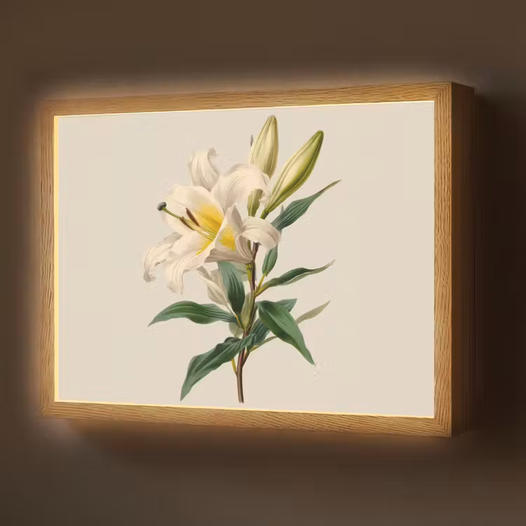 Lightbox - Wandlamp - Lelie - Elegant - Botanisch - Beige — 1