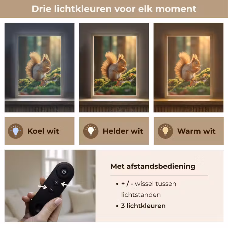 Lightbox - Wandlamp - Eekhoorn - Nootje - Gras — 7