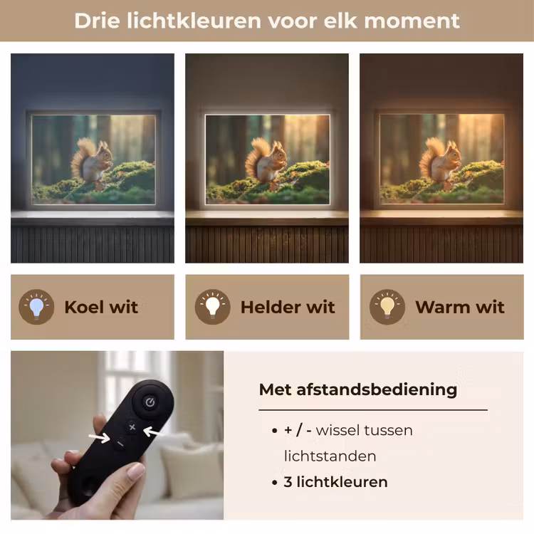 Lightbox - Wandlamp - Eekhoorn - Nootje - Gras — 8