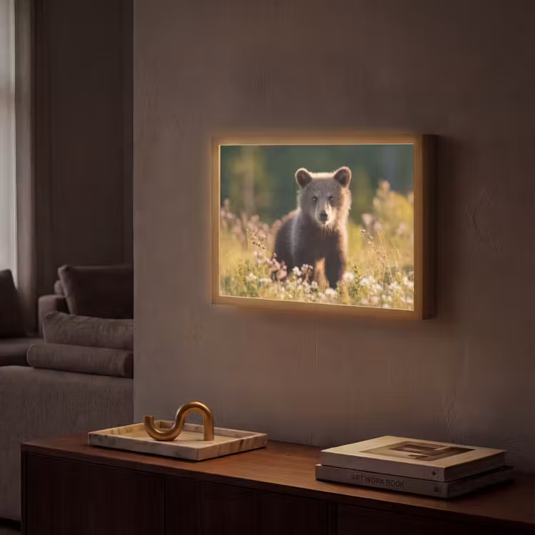 Lightbox - Wandlamp - Beer - Bloemenveld - Gras — 2