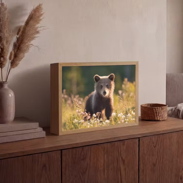 Lightbox - Wandlamp - Beer - Bloemenveld - Gras — 4