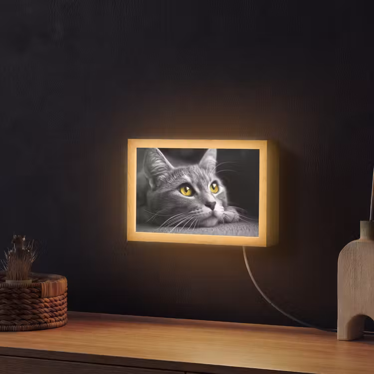 Lightbox - Wandlamp - Kat - Zwart - Wit - Dieren - Natuur — 2