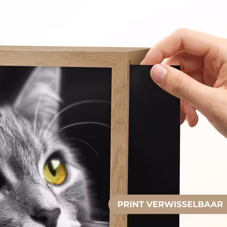 Lightbox - Wandlamp - Kat - Zwart - Wit - Dieren - Natuur — 3