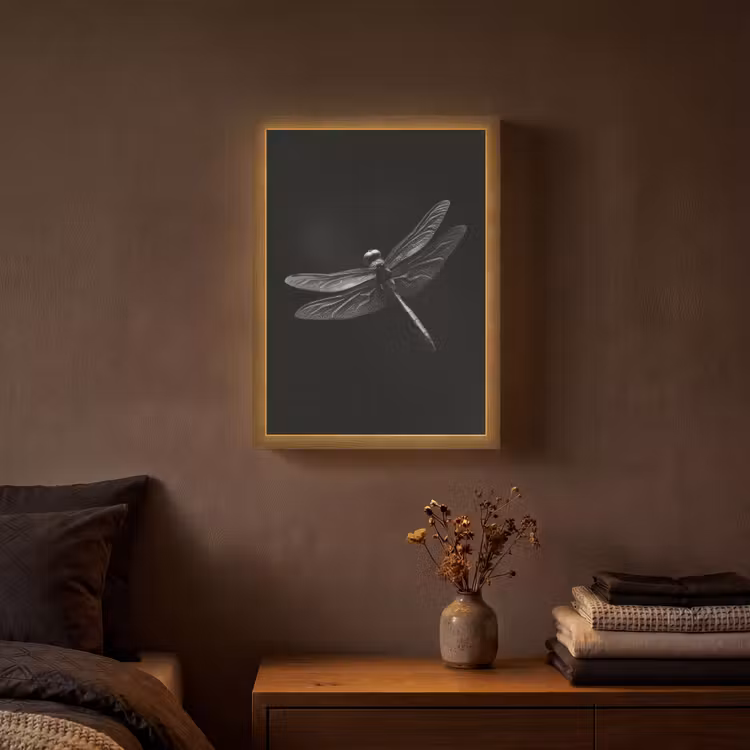 Lightbox - Wandlamp - Libelle - Dieren - Zwart - Insect — 3
