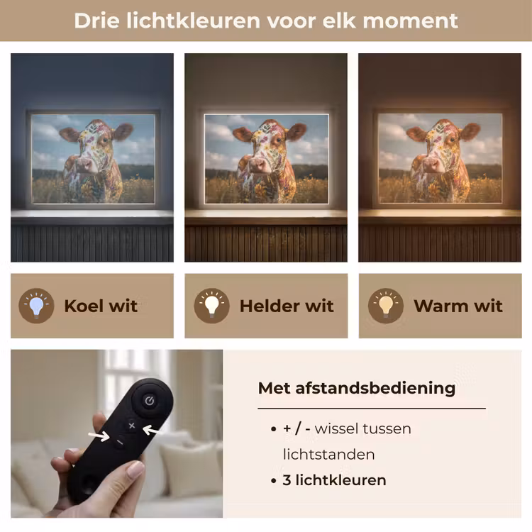 Lightbox - Wandlamp - Koe - Bloemen - Weiland — 8