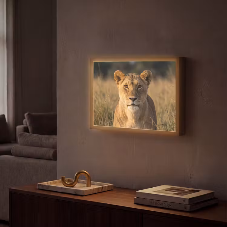 Lightbox - Wandlamp - Leeuwin - Gras - Geel — 2