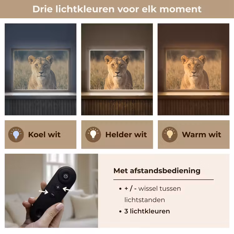 Lightbox - Wandlamp - Leeuwin - Gras - Geel — 8