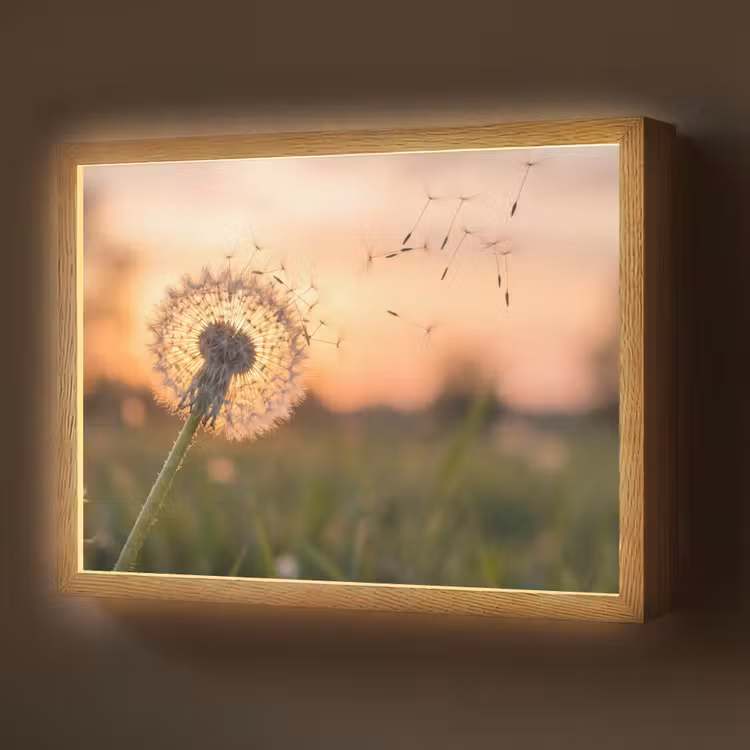 Lightbox - Wandlamp - Paardenbloem - Zonsondergang - Veld