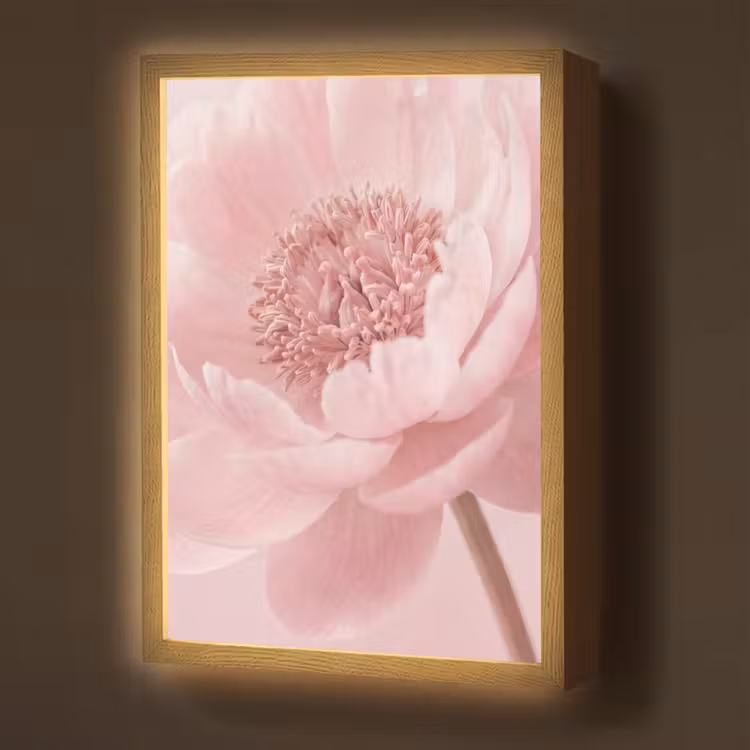 Lightbox - Wandlamp - Bloem - Pioenroos - Roze — 1