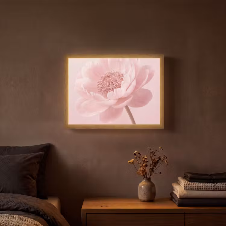 Lightbox - Wandlamp - Bloem - Pioenroos - Roze — 3