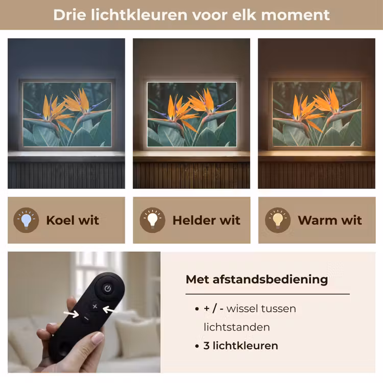 Lightbox - Wandlamp - Paradijsvogel - Bloem - Exotisch — 8