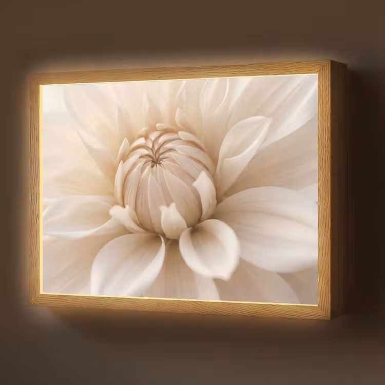 Lightbox - Wandlamp - Bloem - Dahlia - Wit