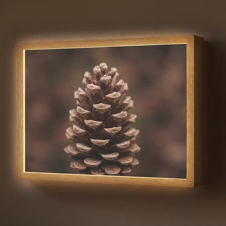 Lightbox - Wandlamp - Dennenappel - Bos - Herfst - Bruin - Sfeervol