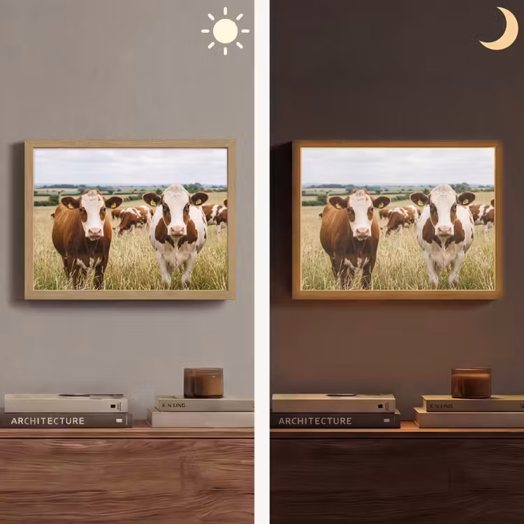 Lightbox - Wandlamp - Koeien - Portret - Weide - Boerderij - Nieuwsgierig — 6