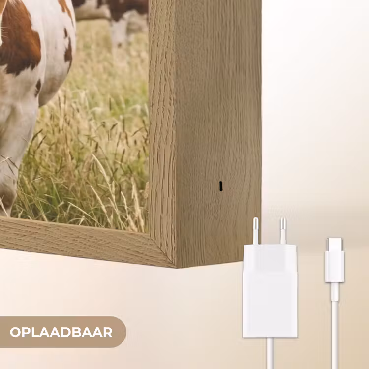 Lightbox - Wandlamp - Koeien - Portret - Weide - Boerderij - Nieuwsgierig — 7