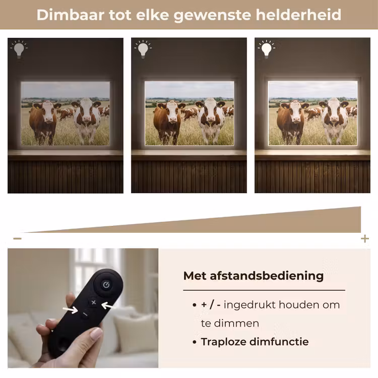 Lightbox - Wandlamp - Koeien - Portret - Weide - Boerderij - Nieuwsgierig — 9
