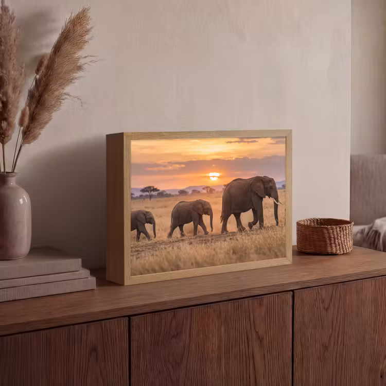 Lightbox - Wandlamp - Olifanten - Savanne - Zonsondergang - Afrika - Warm — 4