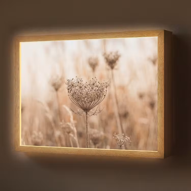 Lightbox - Wandlamp - Schermbloem - Droogbloem - Winter - Beige - Minimalistisch
