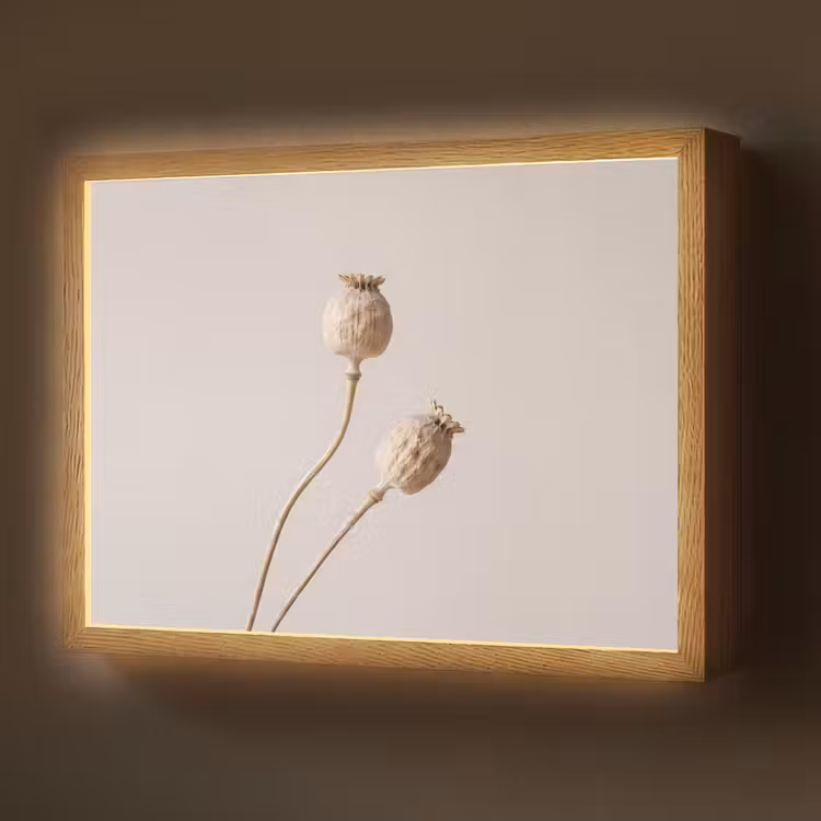 Lightbox - Wandlamp - Papaverbollen - Droogbloemen - Minimalistisch - Beige - Rustig
