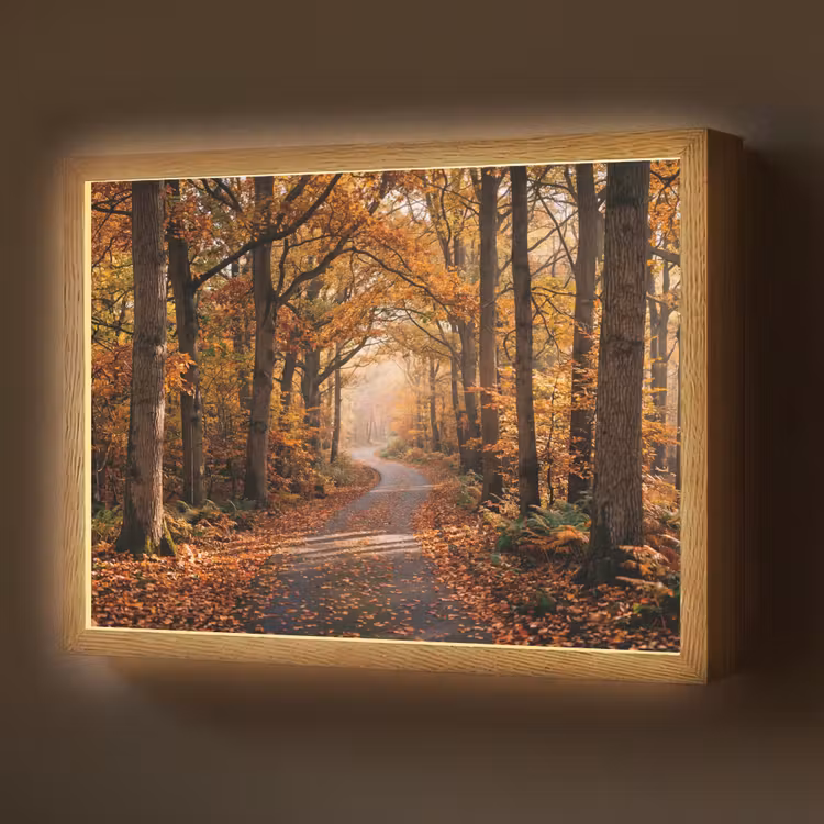 Lightbox - Wandlamp - Bospad - Herfstbos - Bladeren - Oranje - Nostalgisch