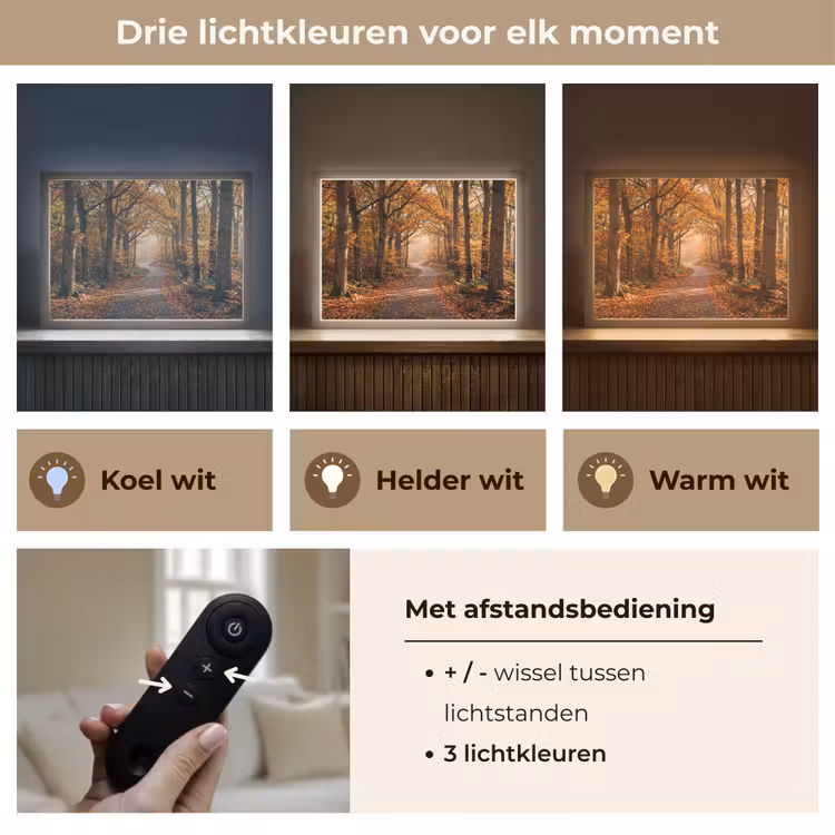 Lightbox - Wandlamp - Bospad - Herfstbos - Bladeren - Oranje - Nostalgisch — 8