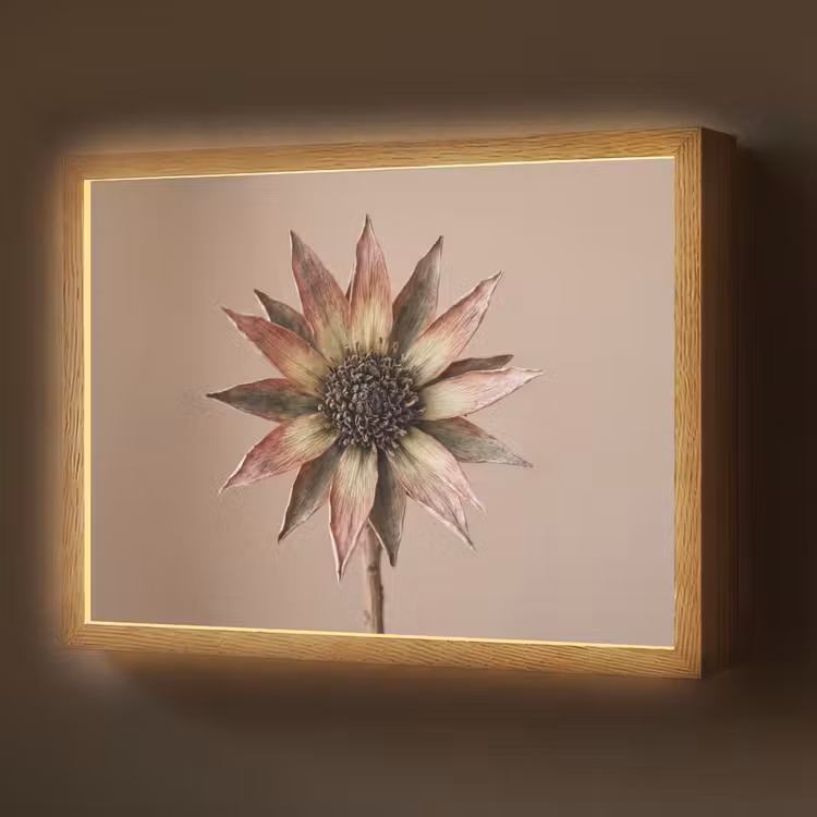 Lightbox - Wandlamp - Droogbloem - Protea - Vintage - Beige - Rustiek
