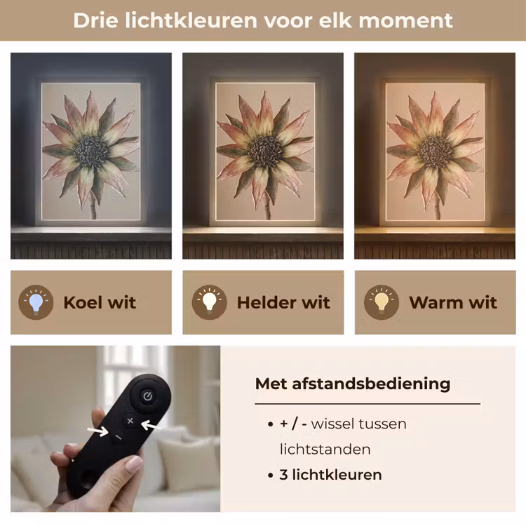 Lightbox - Wandlamp - Droogbloem - Protea - Vintage - Beige - Rustiek — 7