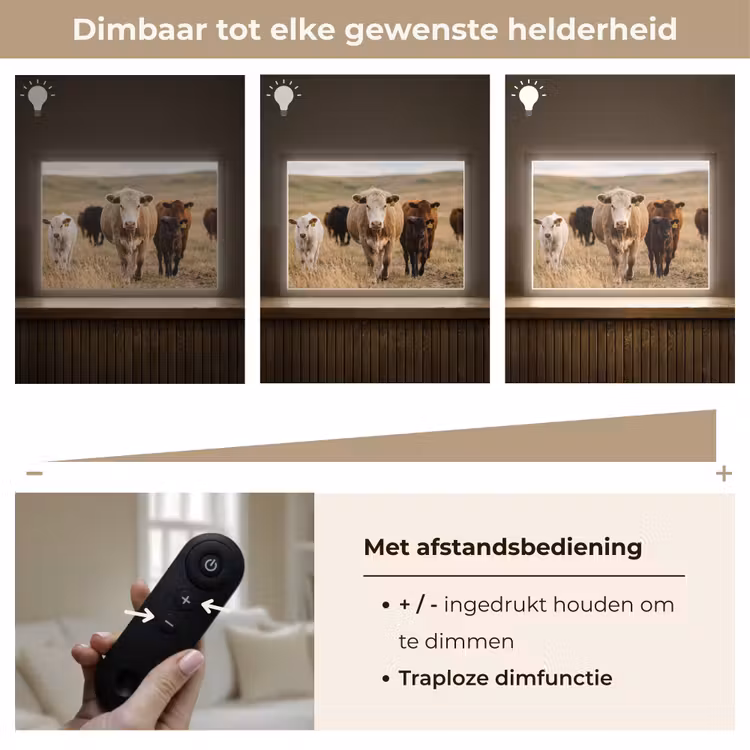 Lightbox - Wandlamp - Runderen - Kudde - Landschap - Weide - Rustig — 9