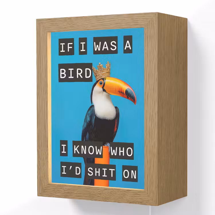 Lightbox - Wandlamp - Vogel - Toekan - Blauw - Quotes — 1