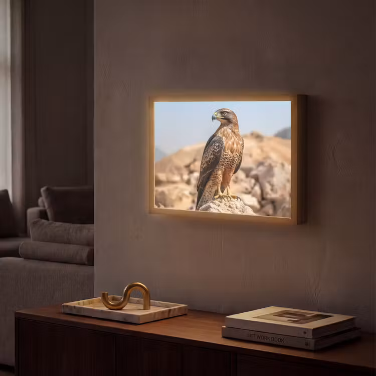 Lightbox - Wandlamp - Valk - Vogel - Rots - Macht — 2