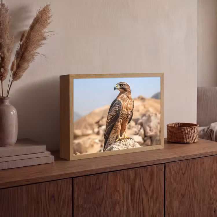 Lightbox - Wandlamp - Valk - Vogel - Rots - Macht — 4