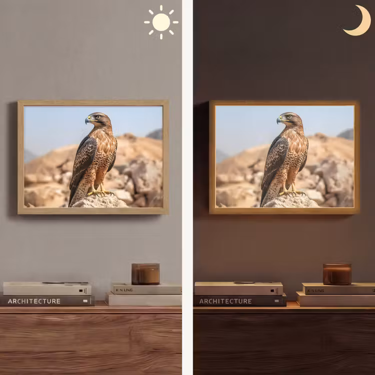 Lightbox - Wandlamp - Valk - Vogel - Rots - Macht — 6