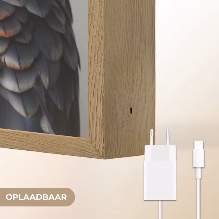 Lightbox - Wandlamp - Vogel - Realistisch - Veren - Bruin — 6