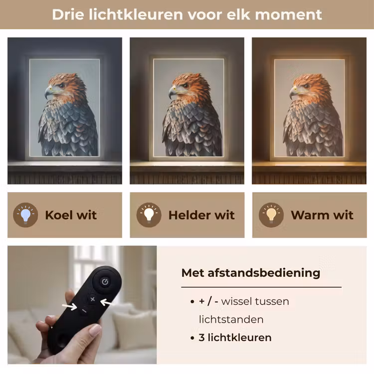 Lightbox - Wandlamp - Vogel - Realistisch - Veren - Bruin — 7