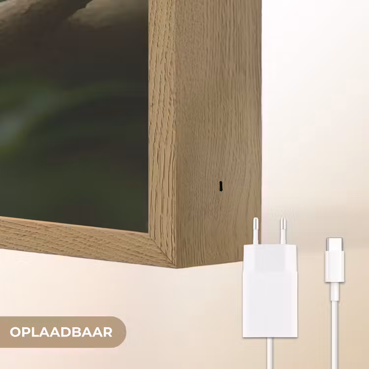 Lightbox - Wandlamp - Vogel - Tak - Geel - Bladeren — 7