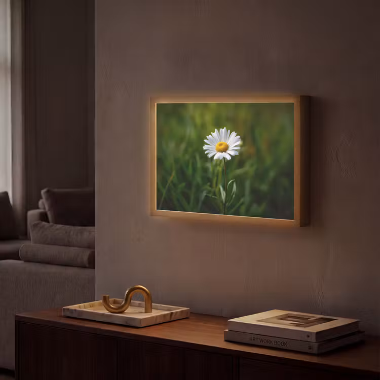 Lightbox - Wandlamp - Wit - Madeliefje - Bloem - Gras — 2