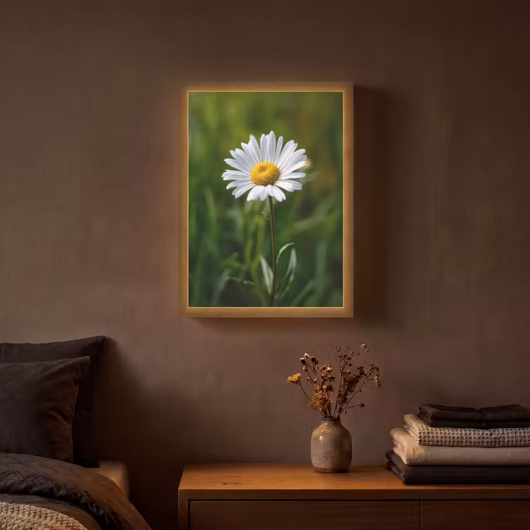 Lightbox - Wandlamp - Wit - Madeliefje - Bloem - Gras — 3