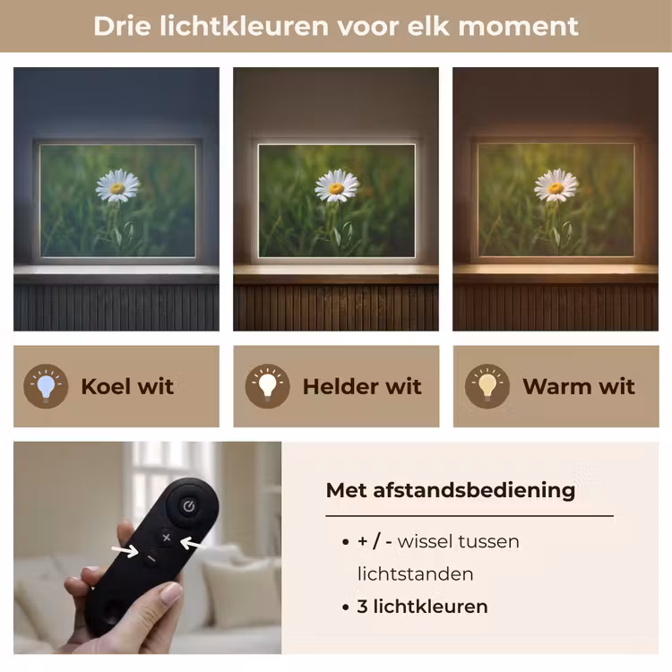 Lightbox - Wandlamp - Wit - Madeliefje - Bloem - Gras — 8
