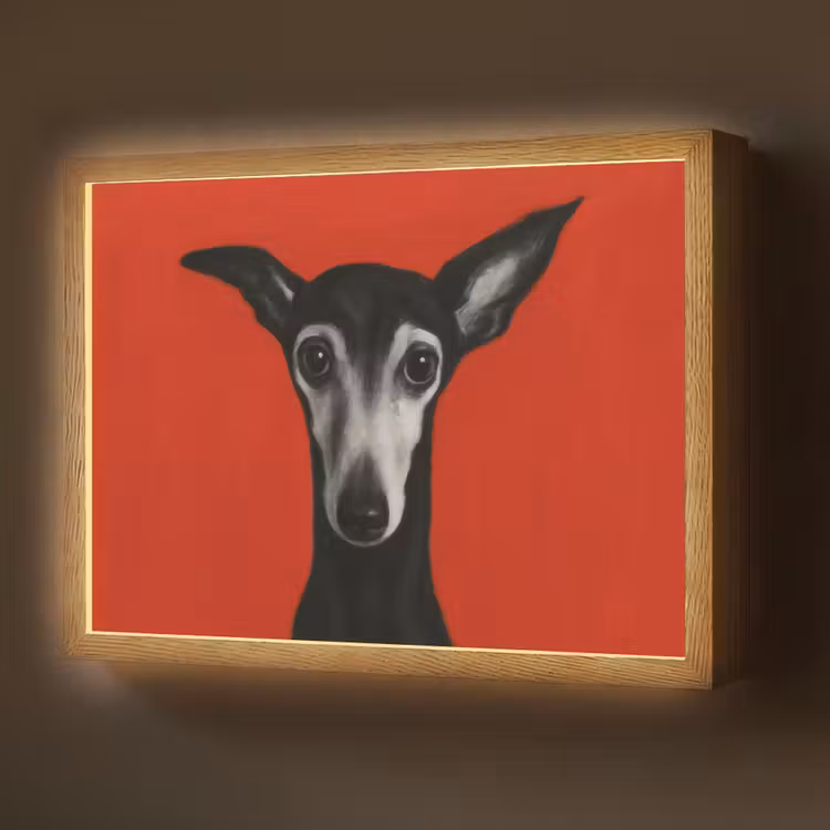 Lightbox - Wandlamp - Windhond - Minimalistisch - Rood — 1