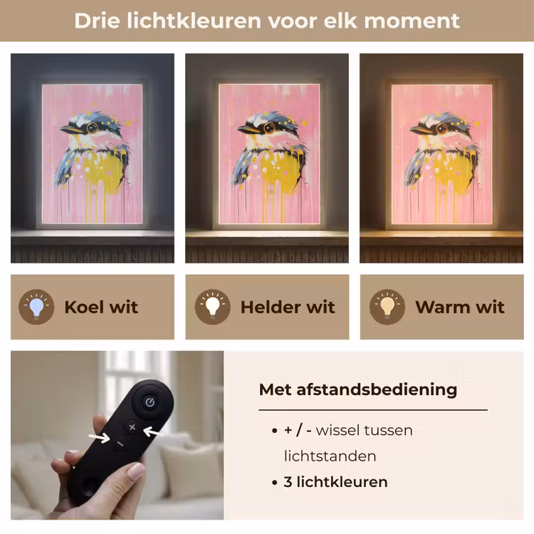 Lightbox - Wandlamp - Vogel - Roze - Geel - Blauw — 7