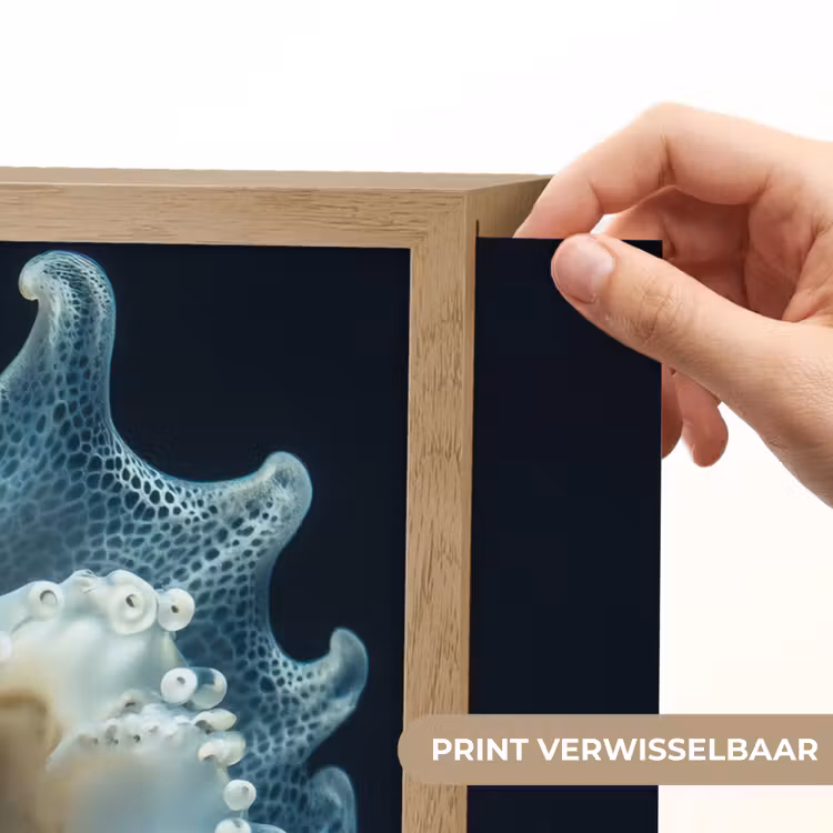 Lightbox - Wandlamp - Zeewezen - Wit - Golven - Water — 5
