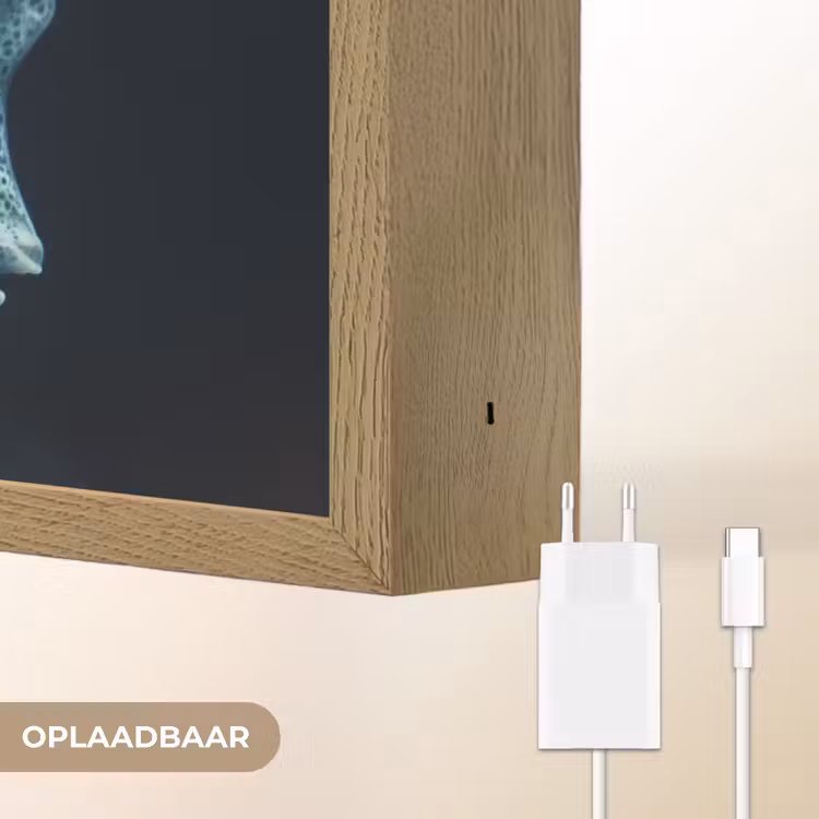 Lightbox - Wandlamp - Zeewezen - Wit - Golven - Water — 7
