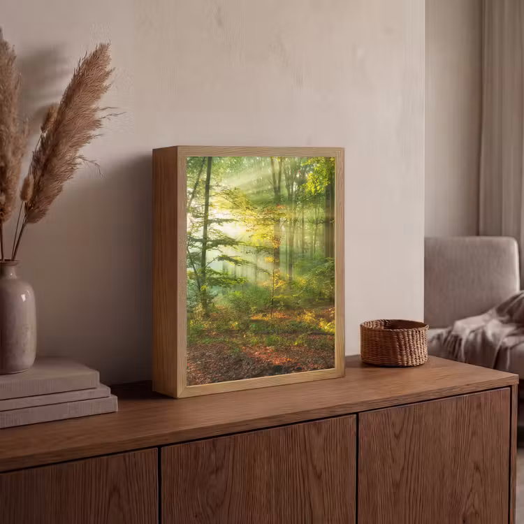 Lightbox - Wandlamp - Zon - Bos - Bomen - Natuur - Herfst — 4