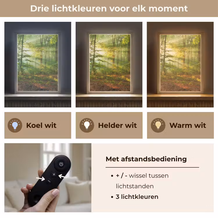 Lightbox - Wandlamp - Zon - Bos - Bomen - Natuur - Herfst — 7