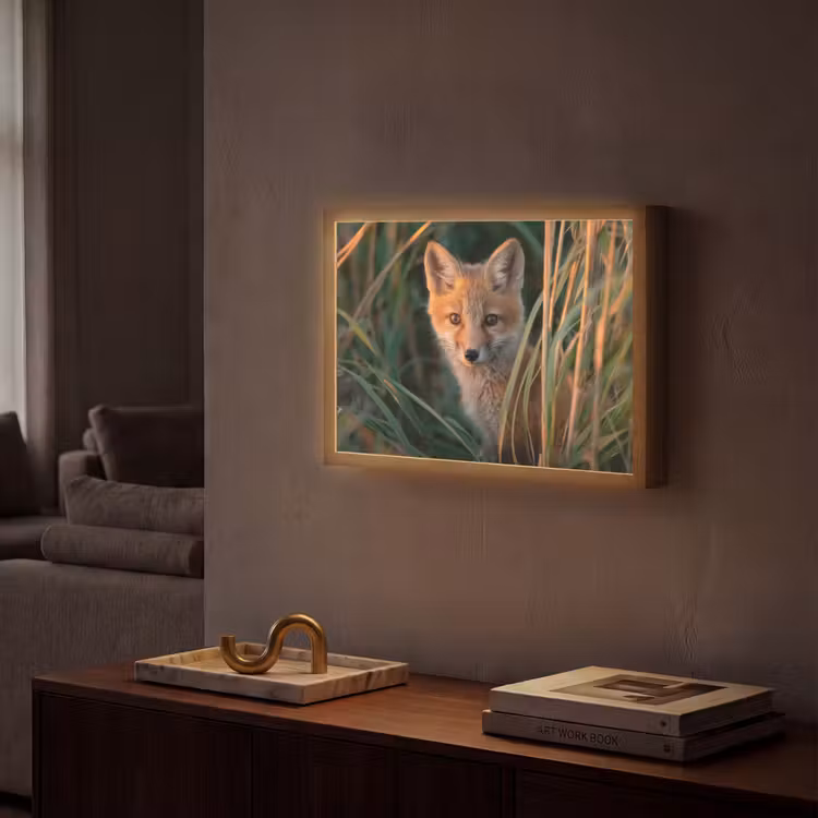Lightbox - Wandlamp - Vos - Oranje - Gras — 2