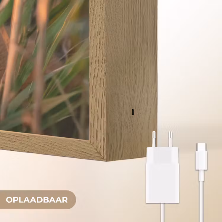 Lightbox - Wandlamp - Vos - Oranje - Gras — 7